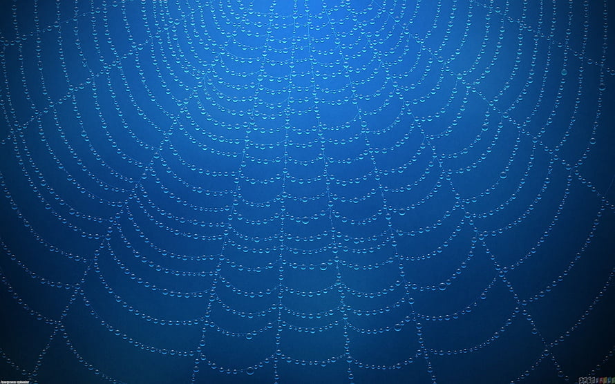 Intricate Spider Web Covered in Dew Drops Against a Deep Blue Sky HD wallpaper