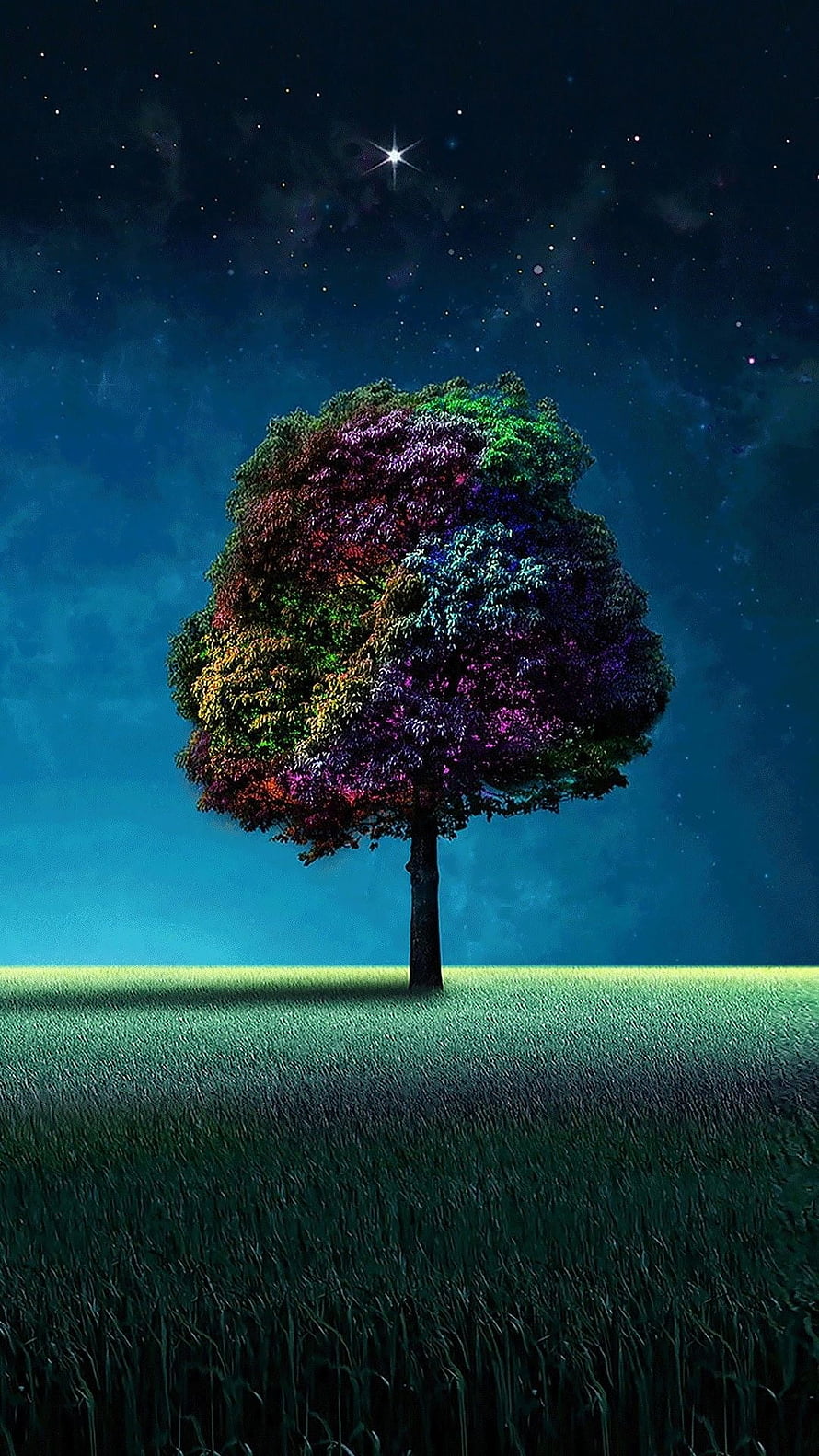 Vibrant Multicolored Tree Standing Alone in a Grassy Field Under a Starry Night Sky HD phone wallpaper