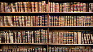 Vintage Leather-Bound Law Books on Wooden Library Shelves HD wallpaper