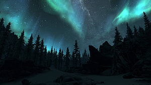 Aurora Borealis Over Snowy Pine Forest and Rocky Terrain at Night HD wallpaper