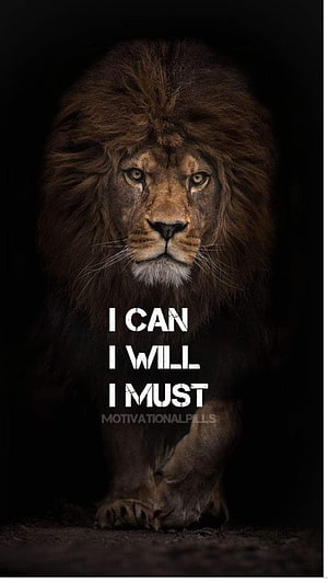 Majestic Male Lion Portrait With Powerful Motivational Quote On Dark Background HD phone wallpaper