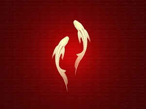 Minimalist White Koi Fish Design on Textured Deep Red Background HD wallpaper
