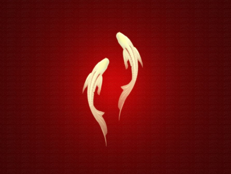 Minimalist White Koi Fish Design on Textured Deep Red Background HD wallpaper