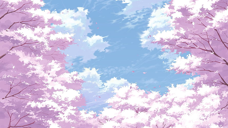 Anime Cherry Blossom Canopy With Falling Petals Against A Bright Blue Sky HD wallpaper