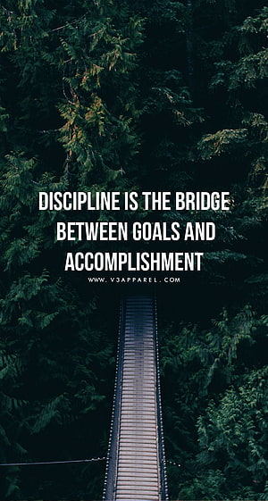 Wooden Suspension Bridge Through Dense Evergreen Forest with Motivational Quote Overlay HD phone wallpaper