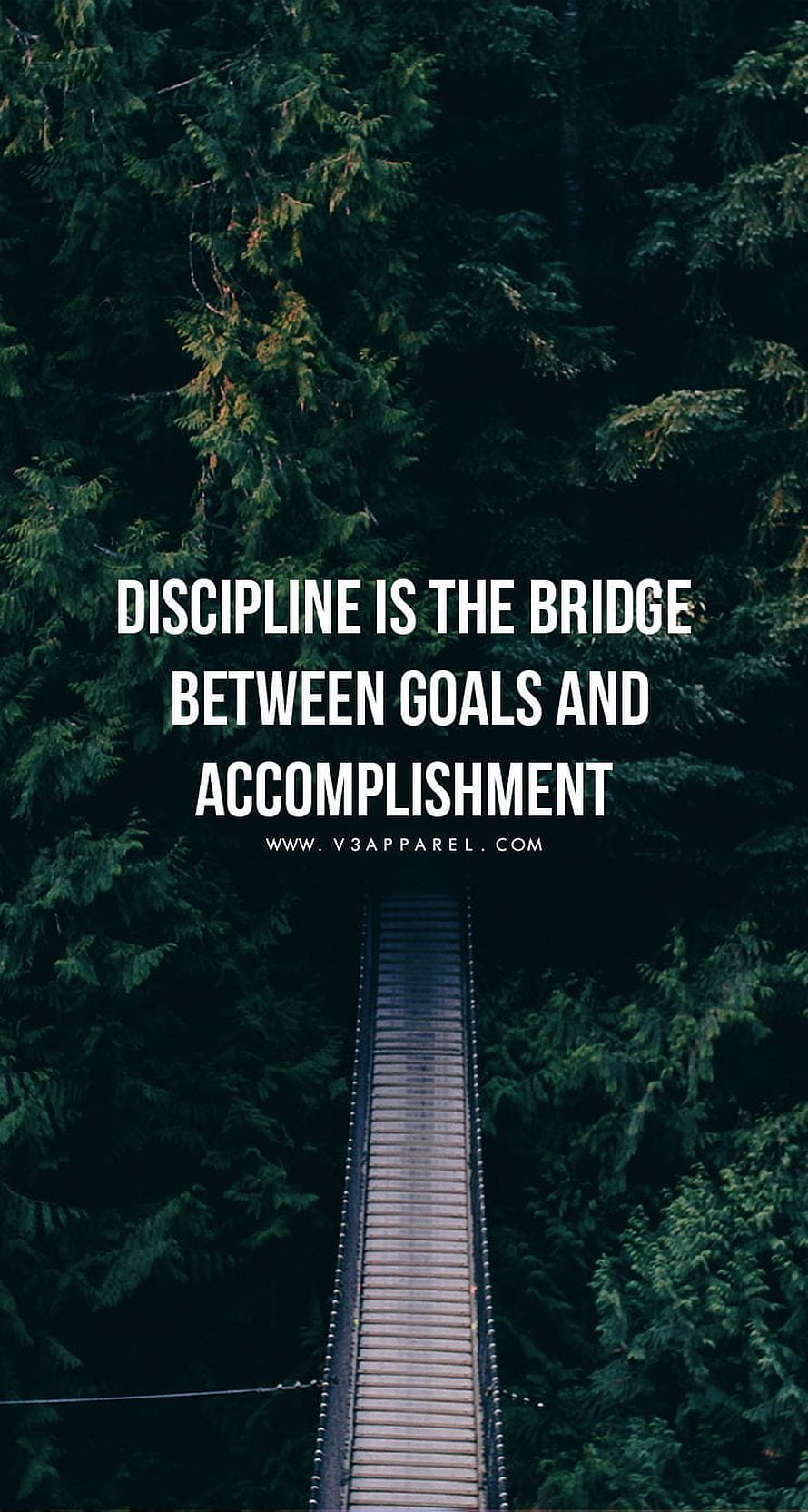 Wooden Suspension Bridge Through Dense Evergreen Forest with Motivational Quote Overlay HD phone wallpaper