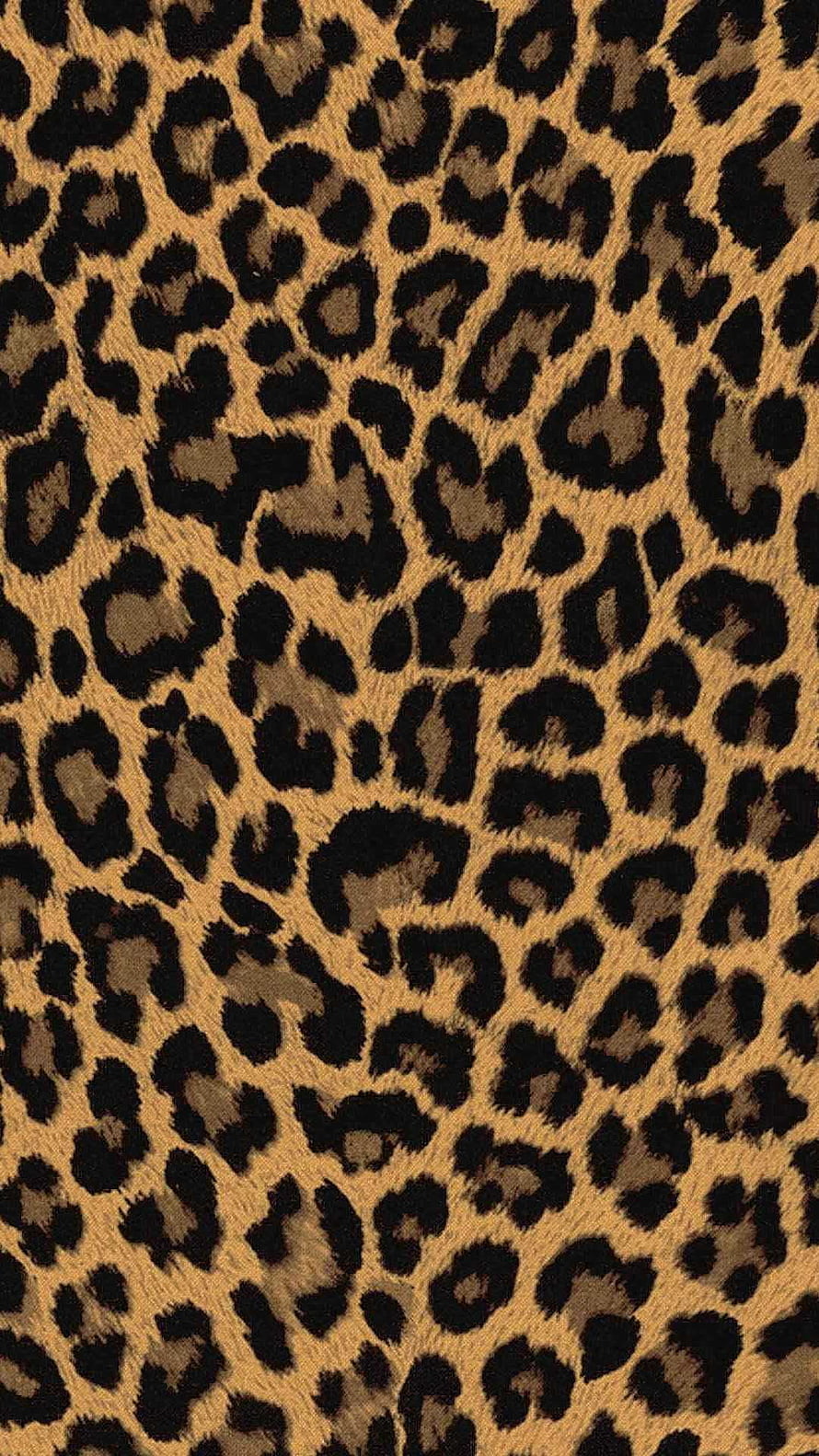 Classic Leopard Print Animal Pattern Texture in Warm Tawny and Black Tones HD phone wallpaper