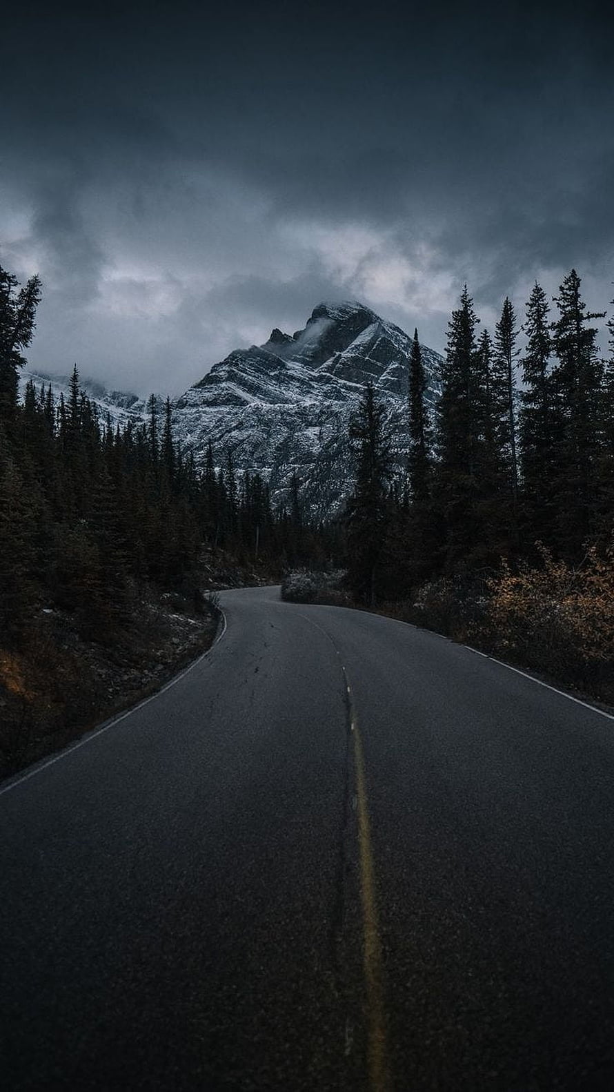 Moody Mountain Road Through Pine Forest Under Stormy Skies HD phone wallpaper