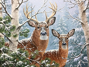 Whitetail Deer Pair in Snowy Winter Forest Painting HD wallpaper