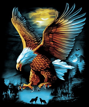 Majestic Bald Eagle Soaring Over a Misty Forest at Dusk HD phone wallpaper