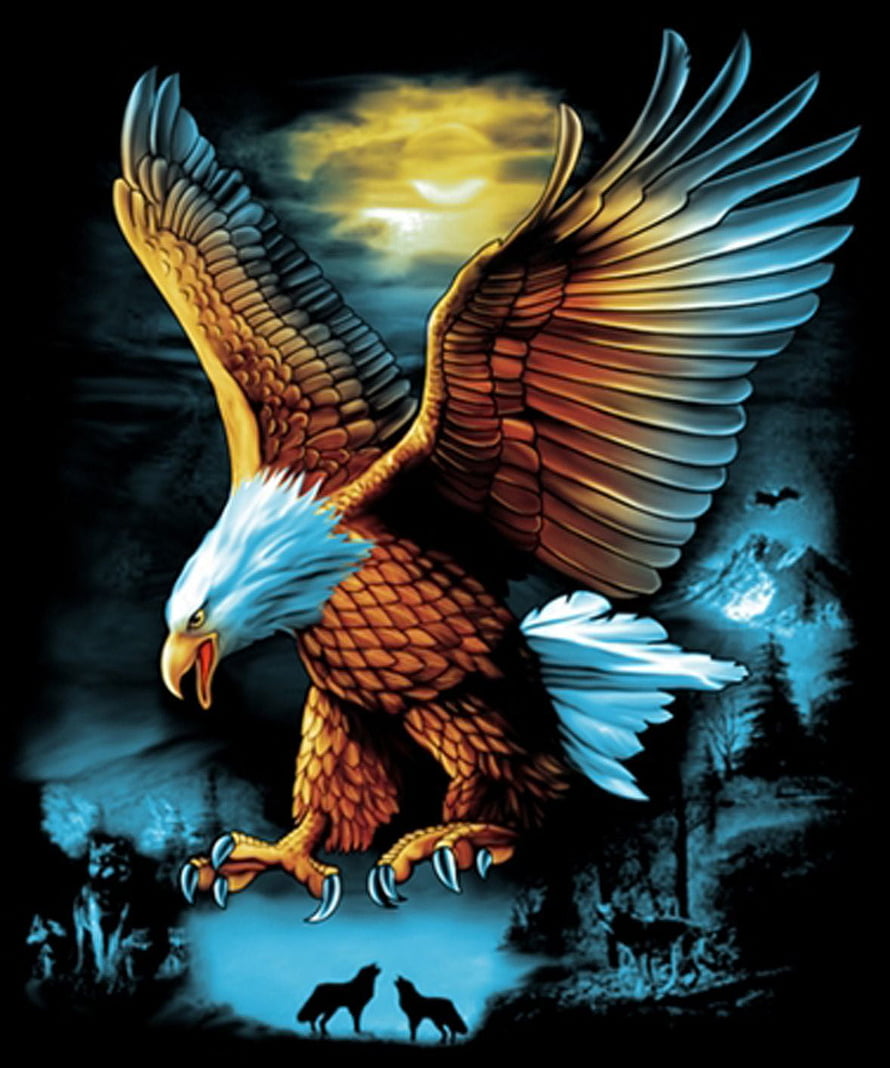 Majestic Bald Eagle Soaring Over a Misty Forest at Dusk HD phone wallpaper