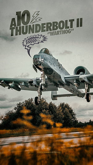 A-10 Thunderbolt II Warthog Attack Aircraft Taking Off With Cartoon Nose Art HD phone wallpaper