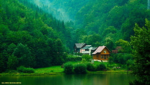 Serene Lakeside Cottages Nestled in Lush Green Forest Valley HD wallpaper