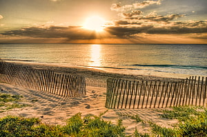 Golden sunset over calm ocean with wooden dune fence and coastal grasses HD wallpaper