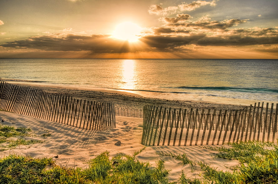 Golden sunset over calm ocean with wooden dune fence and coastal grasses HD wallpaper