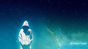 Parrot Security OS Hacker Silhouette Against Starry Night Sky HD wallpaper
