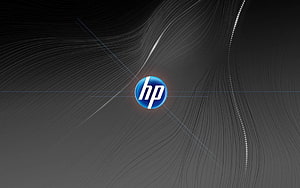 HP Logo on Dark Abstract Flowing Lines Background HD wallpaper