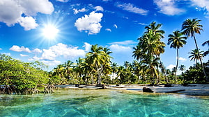 Tropical Island Lagoon With Turquoise Water, Palm Trees, and Bright Blue Sky HD wallpaper