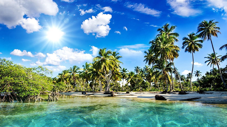 Tropical Island Lagoon With Turquoise Water, Palm Trees, and Bright Blue Sky HD wallpaper
