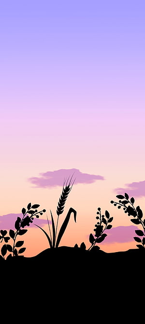 Silhouette of wheat and wildflowers against a soft purple and pink sunset sky HD phone wallpaper