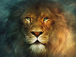 Aslan the Great Lion from Narnia with Majestic Mane and Intense Green Eyes HD wallpaper