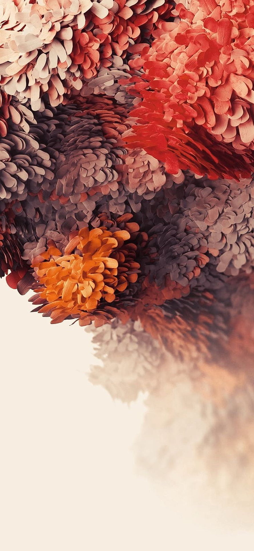 Samsung S20 Ultra Abstract Floral Wallpaper with Warm Red and Orange Petals HD phone wallpaper