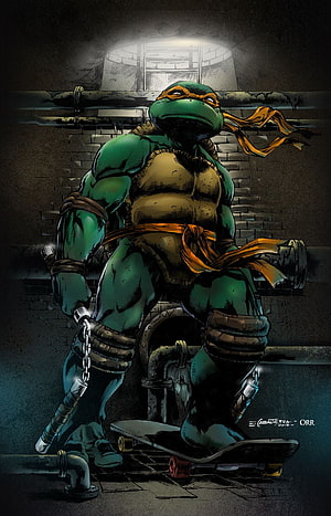 Michelangelo from Teenage Mutant Ninja Turtles Standing on Skateboard in Sewer HD phone wallpaper