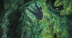 Studio Ghibli Lush Forest Canopy With Mossy Roots, Ferns, and Butterflies HD wallpaper