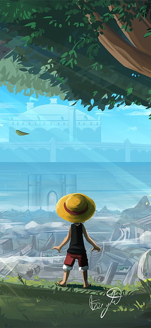 Monkey D Luffy as a child in a wide-brimmed straw hat overlooking a misty coastal city from a grassy hill HD phone wallpaper