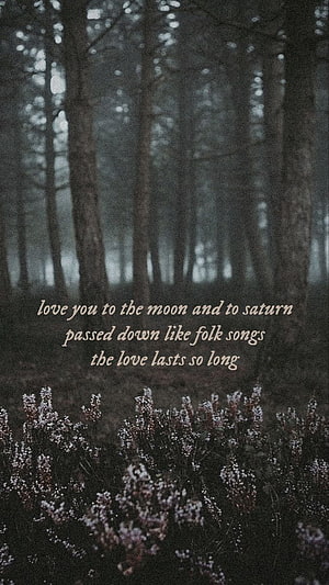 Taylor Swift Folklore Lyrics Over Misty Forest and Wildflowers HD phone wallpaper