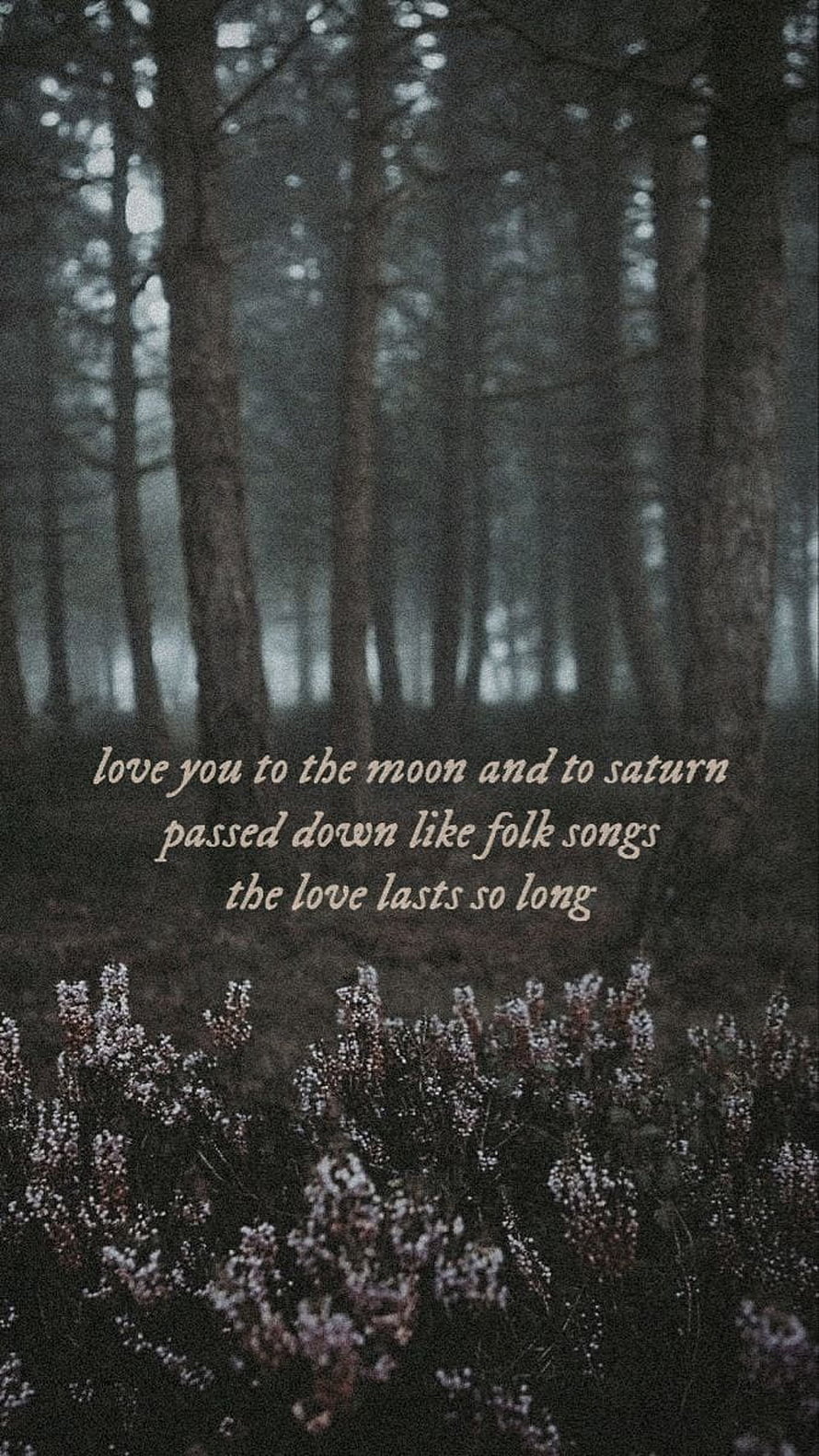 Taylor Swift Folklore Lyrics Over Misty Forest and Wildflowers HD phone wallpaper