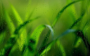 Raindrops on Glass with Blurred Green Grass Background HD wallpaper