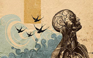 Anatomical Human Head Illustration with Birds and Stylized Waves on Textured Background, Psychology HD wallpaper
