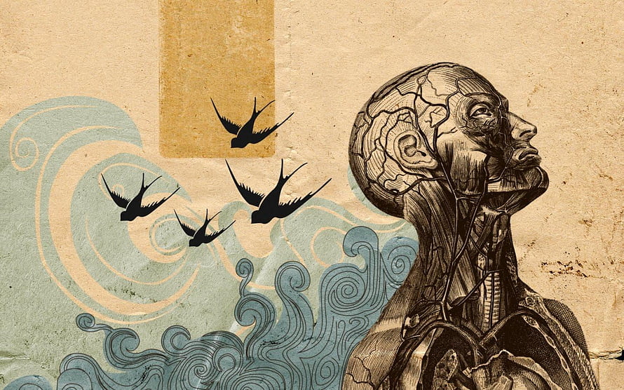 Anatomical Human Head Illustration with Birds and Stylized Waves on Textured Background, Psychology HD wallpaper
