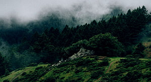 Misty Mountain Forest Landscape with Rolling Green Hills and Rocky Outcrop HD wallpaper