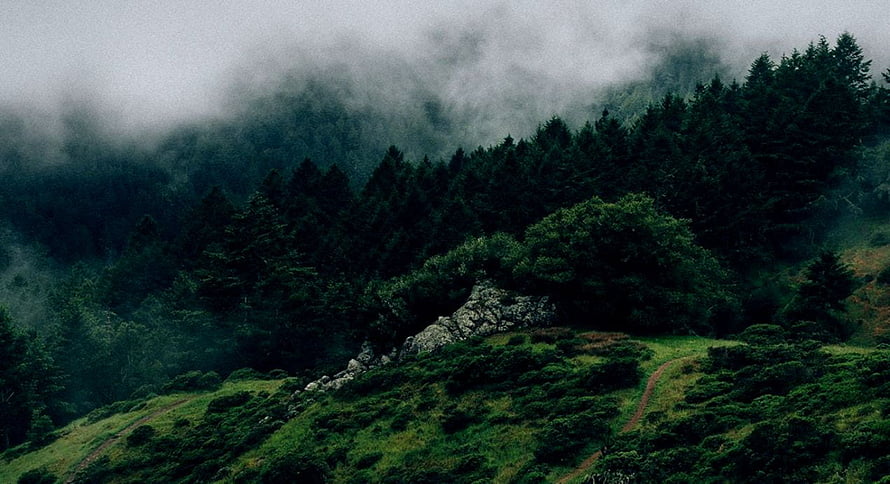 Misty Mountain Forest Landscape with Rolling Green Hills and Rocky Outcrop HD wallpaper