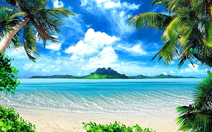 Tropical Beach Landscape With Palm Trees And Distant Island Under Blue Sky HD wallpaper