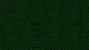 Fallout 4 Terminal Interface with Green Monospace Text on Black Background HD wallpaper