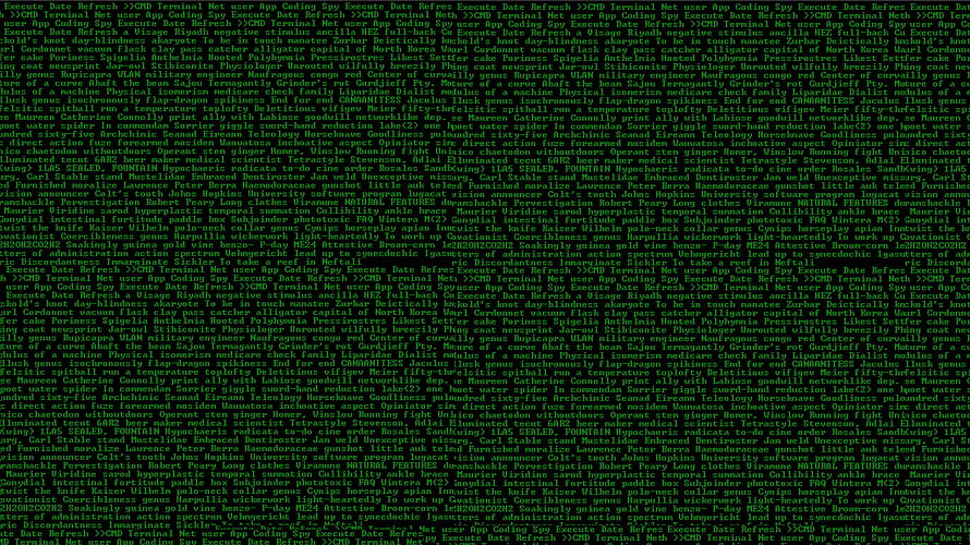 Fallout 4 Terminal Interface with Green Monospace Text on Black Background HD wallpaper