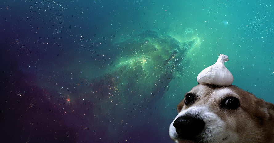 Corgi with Garlic Bulb on Head Against Vibrant Green and Purple Nebula Space Background HD wallpaper