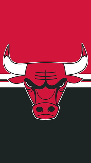 Chicago Bulls Team Logo on Red and Black Background HD phone wallpaper
