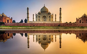 Taj Mahal Reflection in Water at Golden Hour in Agra, India HD wallpaper