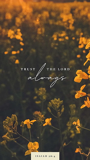 Trust The Lord Always: Isaiah 26:4 Scripture Quote Over Golden Wildflower Field HD phone wallpaper