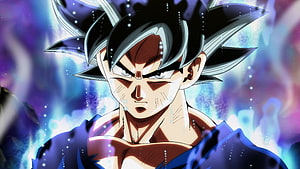 Goku Ultra Instinct Dragon Ball Super Anime Character Portrait HD wallpaper