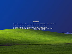 Windows XP Fatal Exception Error Dialog Over Classic Green Hill Desktop Background HD wallpaper