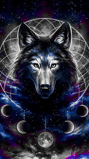 Cosmic Wolf Portrait with Moon Phases and Celestial Sphere in Deep Space HD phone wallpaper