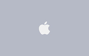 Minimalist Apple Logo on Soft Gray Background HD wallpaper