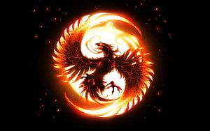 Fiery Phoenix Rising in a Glowing Circular Flame Emblem on Black Background HD wallpaper