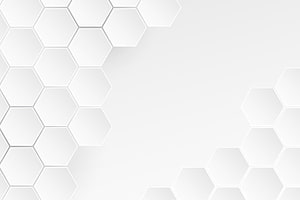 Minimalist White Hexagon Pattern Background with Soft Geometric Depth HD wallpaper