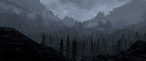Dark Misty Mountain Valley with Pine Forest and Rocky Outcrops HD wallpaper